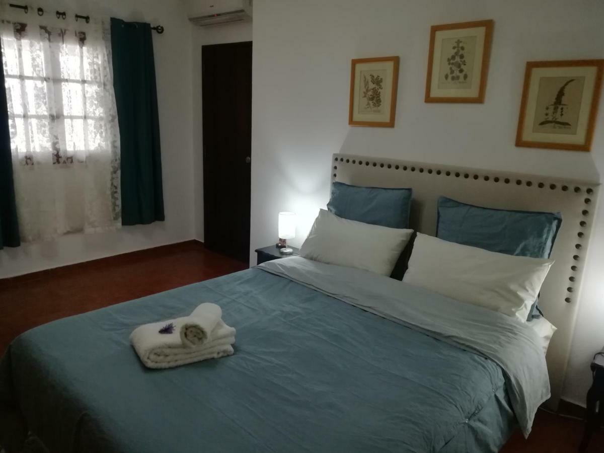 A Casa Da Avo Custodinha Villa Bias do Norte Eksteriør billede